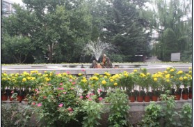 校园喷泉
